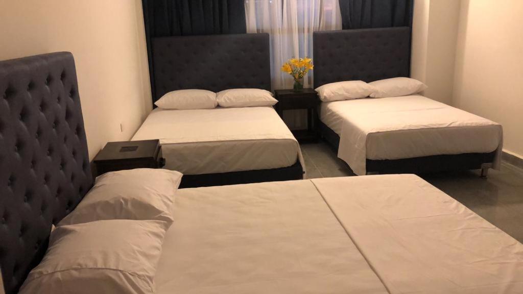 Hotel Kaluwala Necoclí Dış mekan fotoğraf
